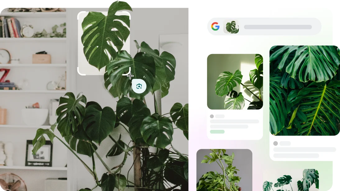 Google Lens is used to identify a suitcase on a webpage and on the camera app a dog breed and a plant.