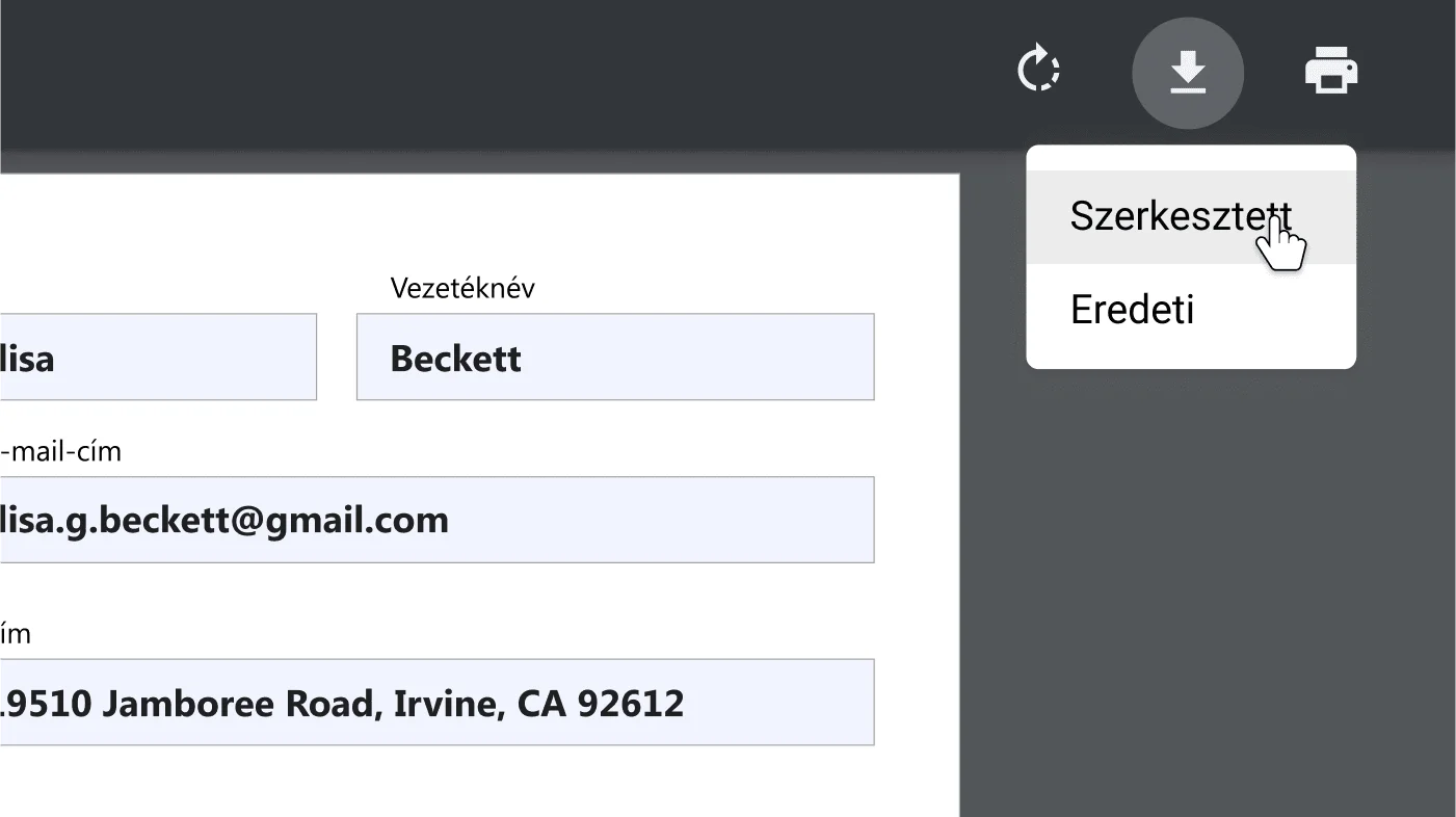 A Chrome-ablakban egy megnyitott PDF-dokumentum látható, ránagyítva a letöltési és nyomtatási lehetőségek menüjére.