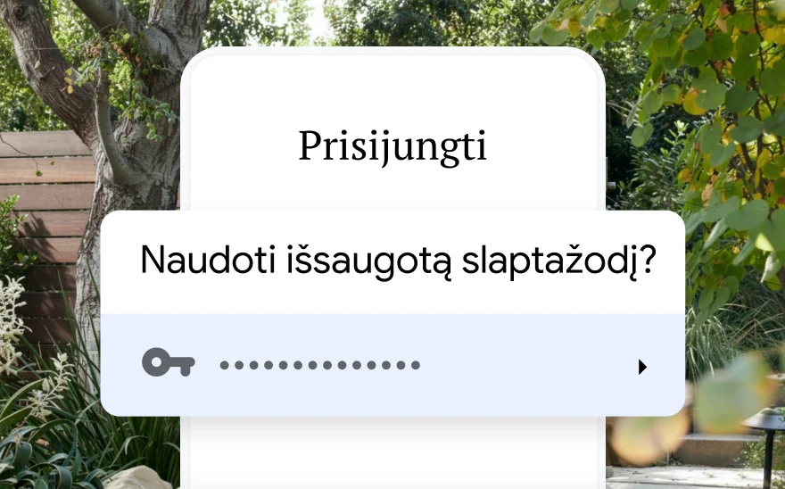 Kelionės rezervavimo prisijungimo puslapis, kuriame prašoma naudoti išsaugotą slaptažodį. Fone gamtos peizažas.