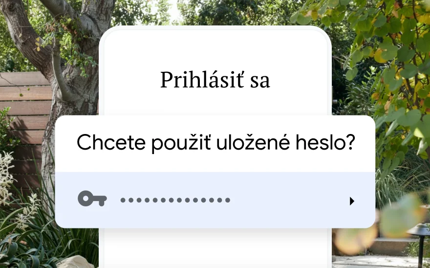 Prihlasovacia stránka na rezerváciu cesty žiada o použitie uloženého hesla. Na pozadí je prírodná scenéria.