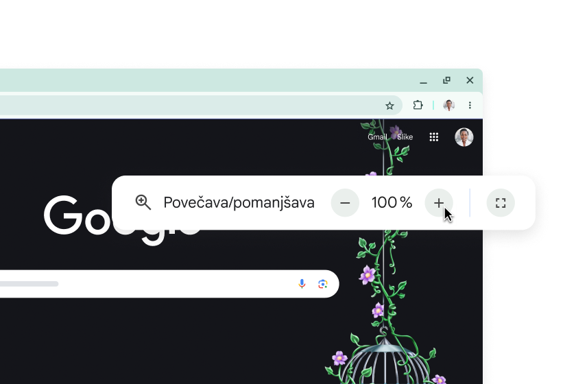 Googlova domača stran in pojavno okno s 100-odstotno povečavo