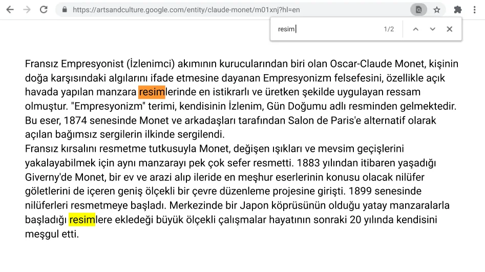 Bul işlevi etkin olan web sayfasının açık olduğu Chrome tarayıcı penceresi.
